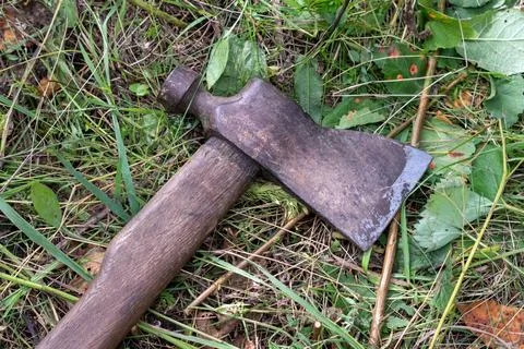 An old axe is lying on the grass in the garden Stock Photos