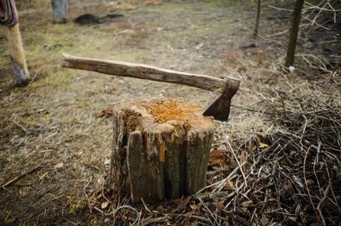 Old axe in stump. Stock Photos
