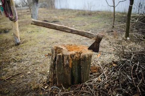 Old axe in stump. Stock Photos