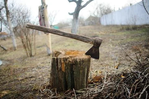 Old axe in stump. Stock Photos