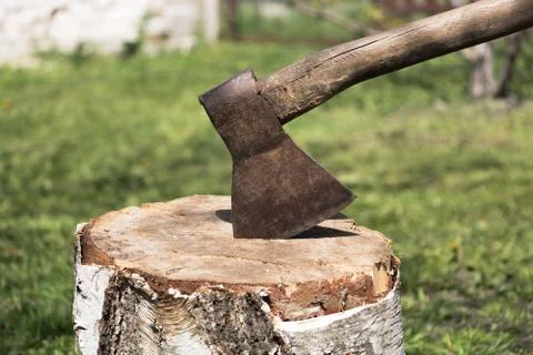 Old axe in tree stump Stock Photos
