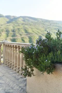 Old balusters made from stone. Architecture elements of terrace Stock Photos