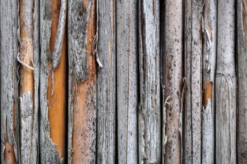 Old Bamboo as background or texture.. Stock Photos