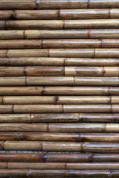 Old bamboo background Stock Photos