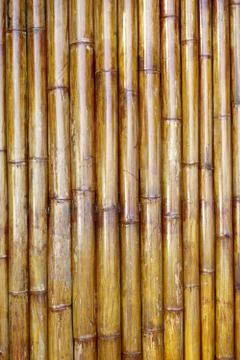 Old bamboo background Stock Photos