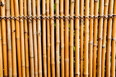 Old bamboo texture Foto stock