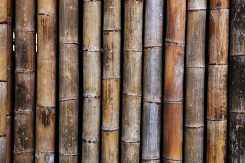 Old bamboo texture Stock Photos