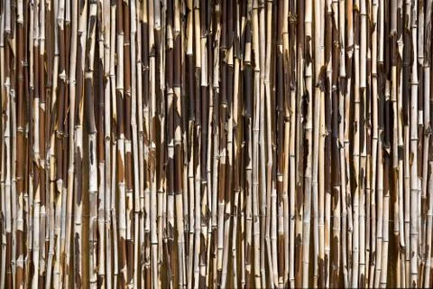 Old bamboo texture Stock Photos