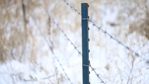 Old barbed fence in farm Stock Footage 102863545