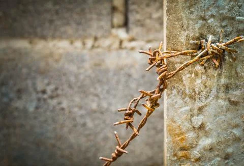 Old barbed on a pillar. Stock Photos