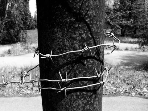 Old barbed wire coiled around rusty steel pipe pillar fence Stock Photos