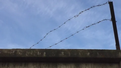 Old barbed wire on the fence, the wall. time lapse Stock Footage 82363409