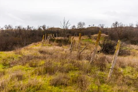Old barbed wire in Kerch Stock Photos