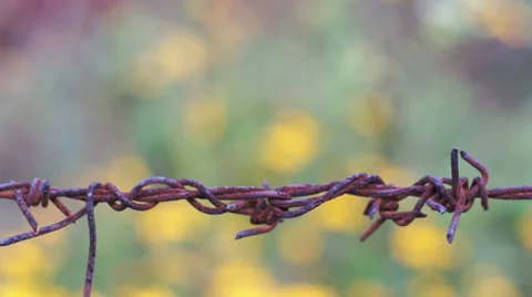 Old Barbed Wire Knot Macro Dolly Stock-Footage 35304100