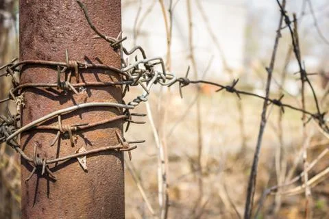 Old barbed wire. Stock Photos