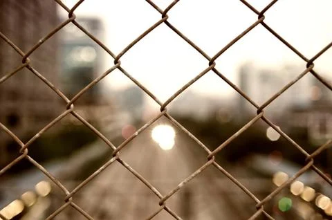 Old barbed wire. Stock Photos