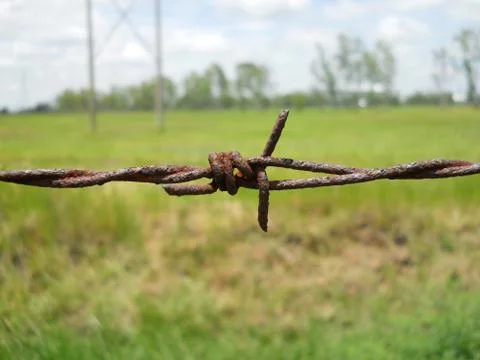 Old barbed wire with shallow depth of field (dof). Macro shooting Foto stock