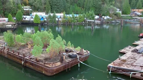 Old barge in pacific inlet Stock Footage 344900357