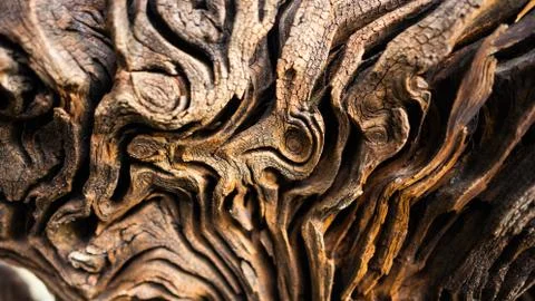 Old bark Stock Photos