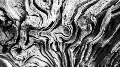 Old bark Stock Photos