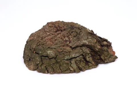 Old bark texture on white background Stock Photos