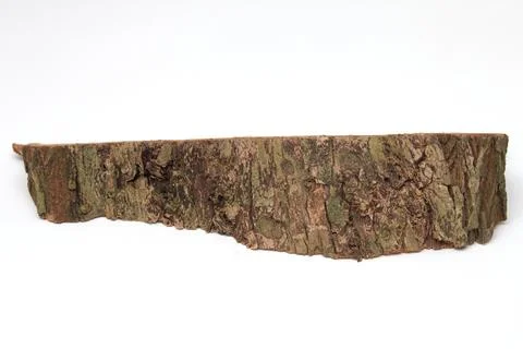 Old bark texture on white background Stock Photos