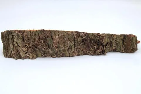 Old bark texture on white background Stock Photos