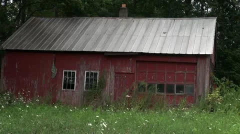 Old barn and daisies Stock Footage 11602743