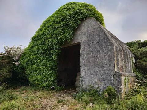 Old barn in the countryside 写真素材