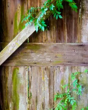 Old Barn Door Stock Photos