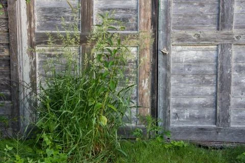 Old Barn Doors Stock Photos