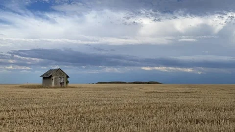 Old barn on the empty field after harvesting in sunny day Video stock 136589697