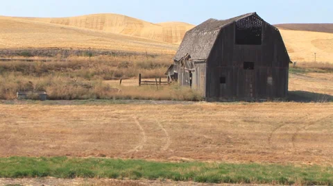 Old Barn in Field Stock Footage 33604741