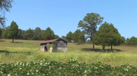 Old Barn in Field Stock Footage 40683989