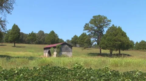 Old Barn in Field Stock Footage 40684006