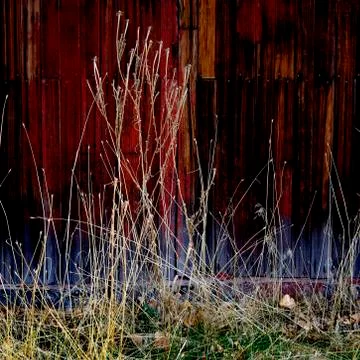 Old Barn in Field in Late Fall Autumn Brown Grass Weathered Red Wood Stock Photos