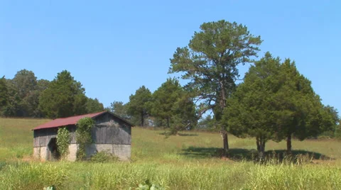 Old Barn in Field Loop Stock Footage 38765617