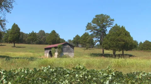 Old Barn in Field Loop Stock Footage 38766273
