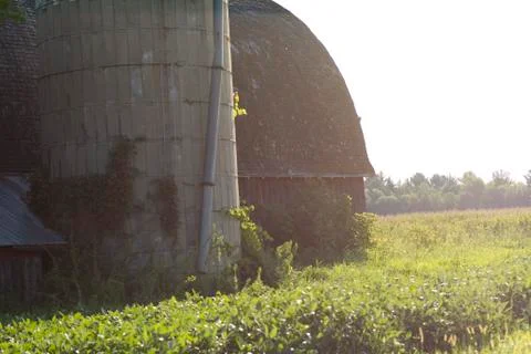 Old Barn in Field Foto stock