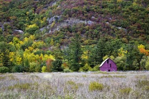 Old barn in the field Stock Photos