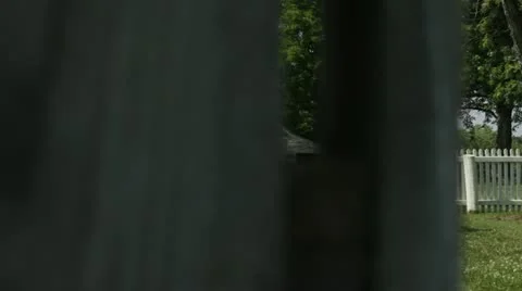 Old Barn Stock Footage 18154562