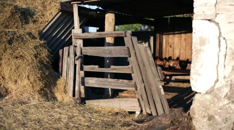 Old Barn Stock Footage 49959856