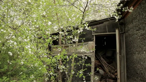 Old barn Video stock 50491907