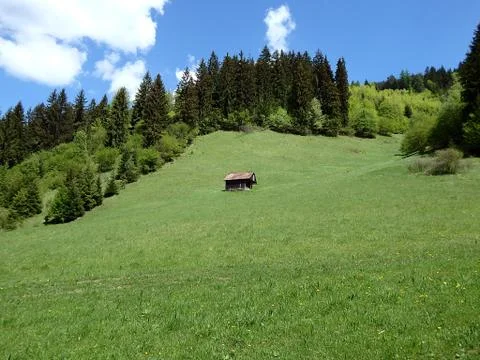 Old barn in a meadow, Stock Photos