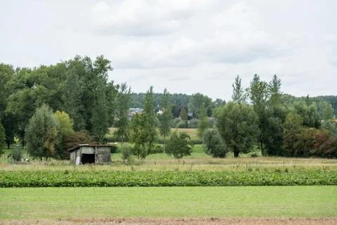 Old barn in the meadow Stock Photos