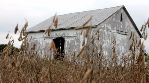 Old Barn in nature dolly shot Stock Footage 8683899