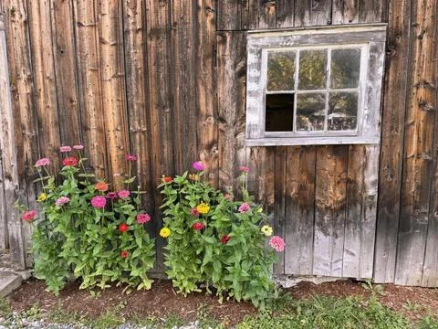 Old Barn Stock Photos