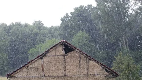 Old barn on the rain Stock Footage 207482481