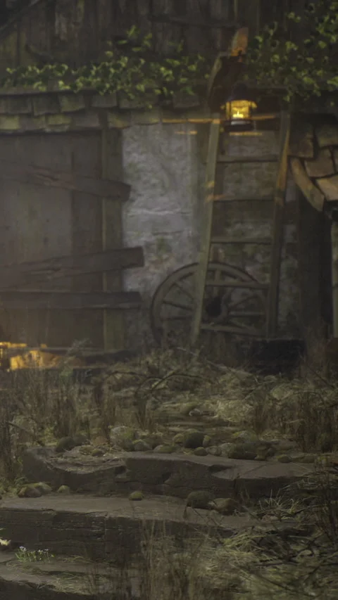 Old barn scene with tools and plants in a farm during the day Stock Footage 334202729
