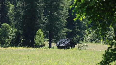 An old barn stands in the field. Stock Footage 105946565